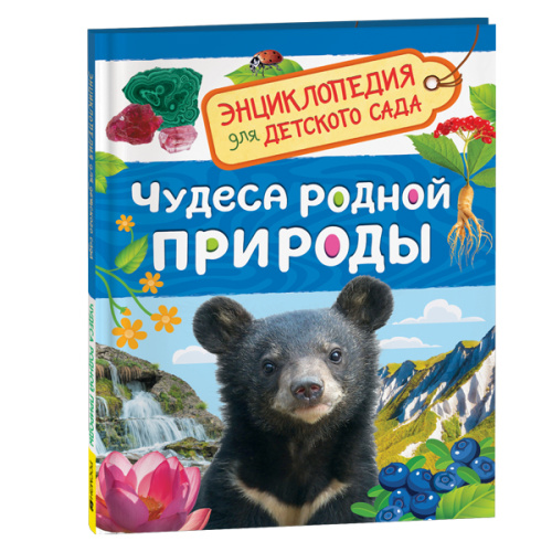 Чудеса родной природы (Энциклопедия для детского сада) фото в интернет-магазине Glasker