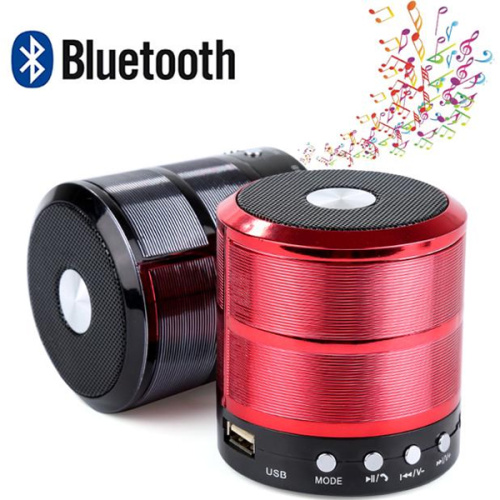 Портативная колонка с Bluetooth WS-887 фото в интернет-магазине Glasker