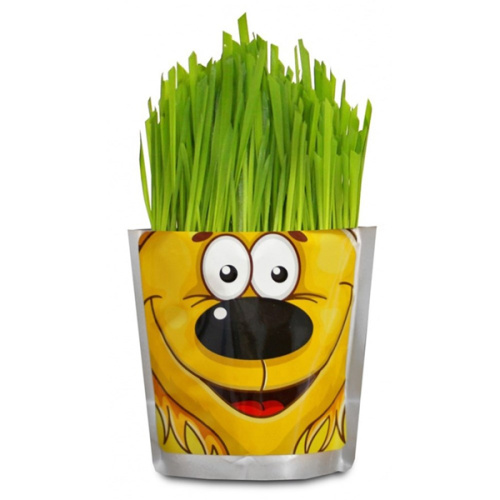Happy Plant "Львенок" фото в интернет-магазине Glasker